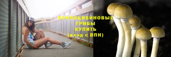 трава Алексеевка