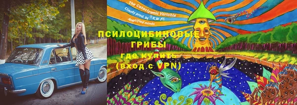 не бодяженный Алексин