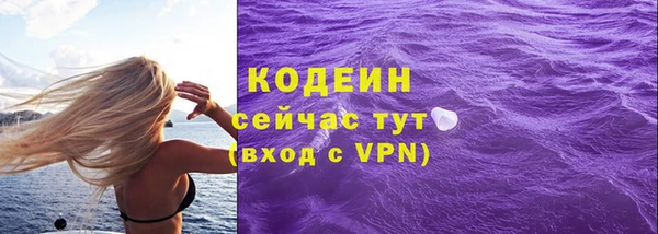 индика Каменка